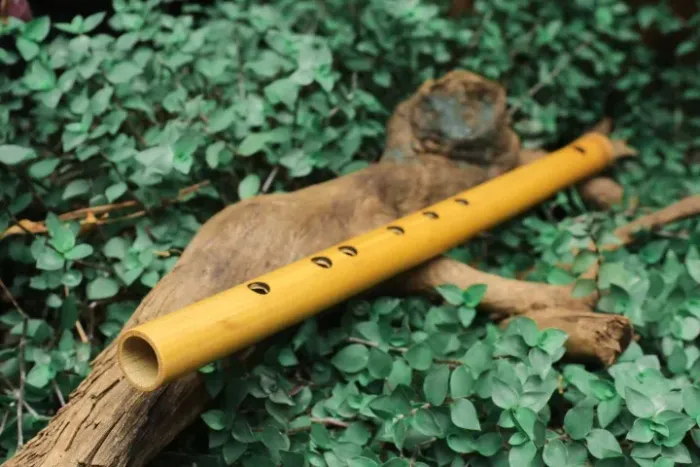 Flauta Pífano Soprozen, Tom C 432hz, Bambu Lixado