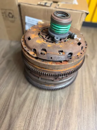 ? Volante biomassa para amarok 