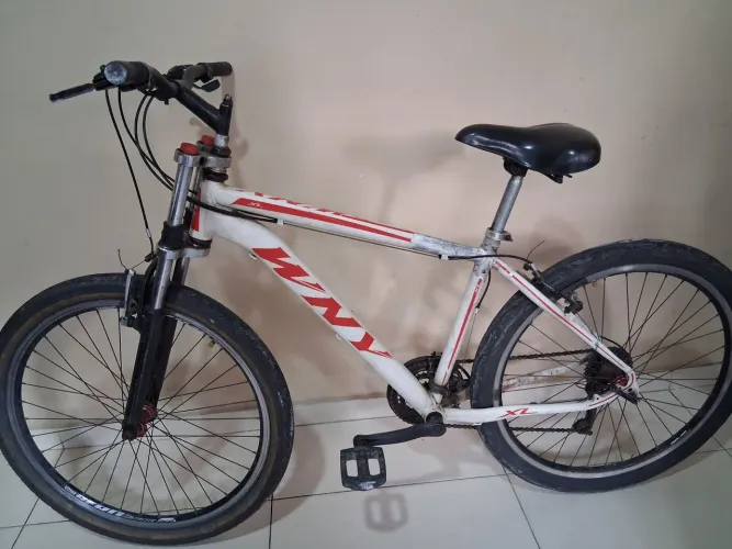 Bicicleta