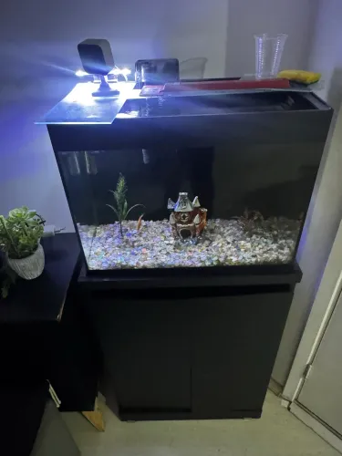 Aquário 50 litros