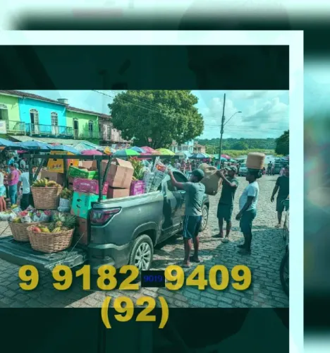 Frete/Mudança: motorista experiente