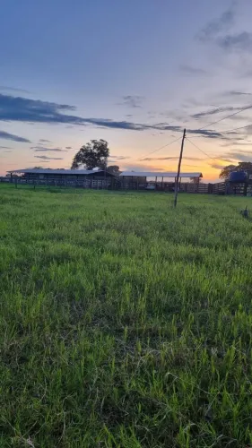 Fazenda à venda em Cocalinho-MT, Zona Rural: 3 quartos, 2 salas, 2 banheiros, 3 vagas de g