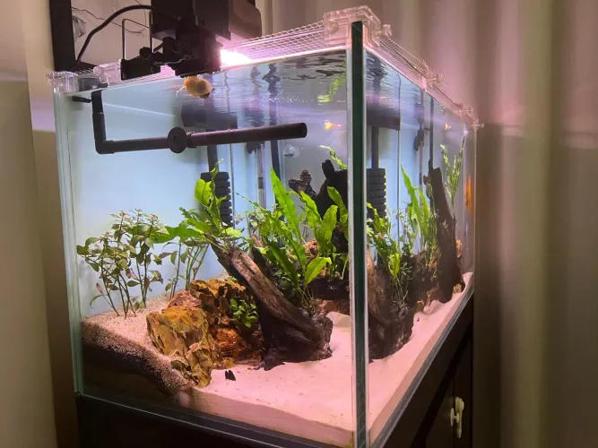 Aquário extra clear completo 200L