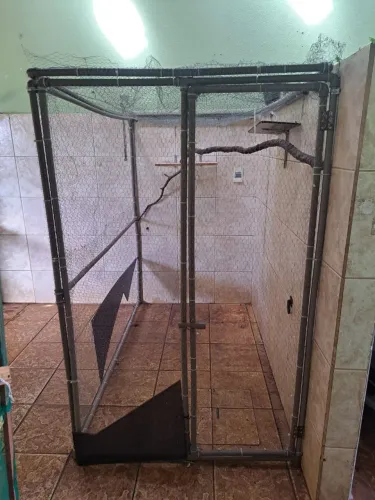 Viveiros pra passaros