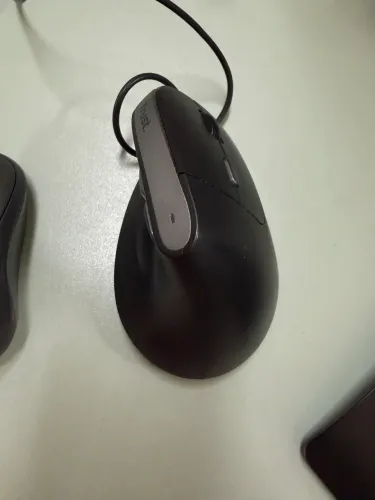 Mouse trust 