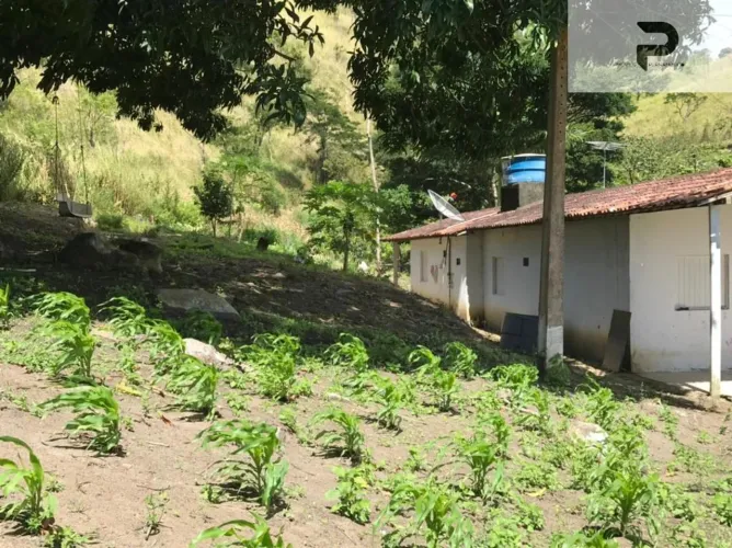 Fazenda a venda em Chã Grande