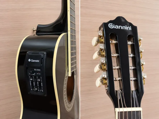 Viola amplificada 10 cordas