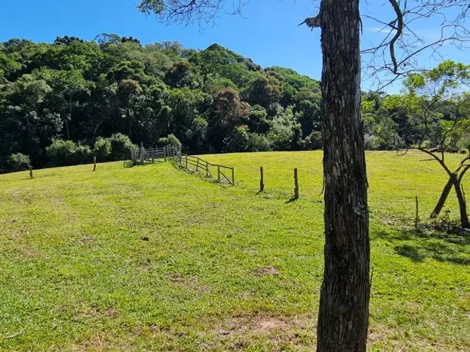 Sítio em Glorinha com mais de 3 hectares, com vertente e arroio na propriedade 