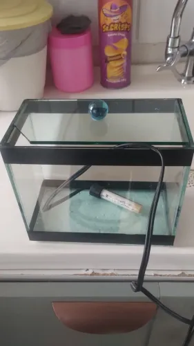 Aquário 2 litros com termostato 