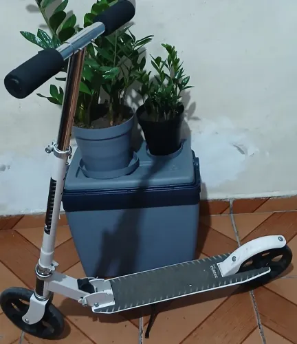 Patinete
