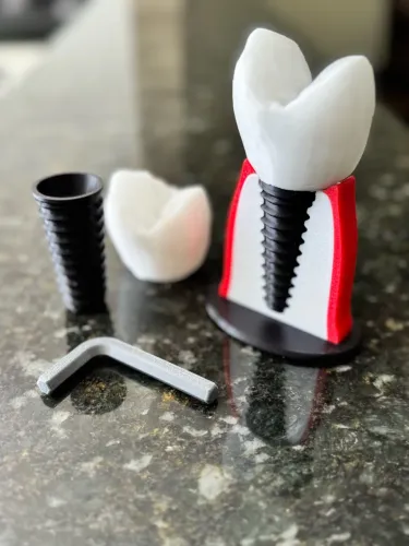 Modelo Didático de Implante Dentário