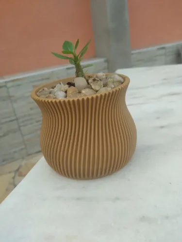 Muda de rosa do deserto