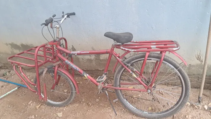 BICICLETA CARGUEIRO 