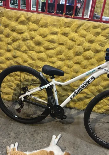 VENDO BICICLETA ARO 29 !!