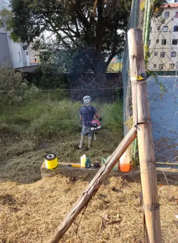 Jardinagem e Manutenção 