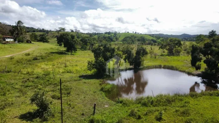 Fazenda à Venda em Catu/BA | 182 Hectares | Pecuária e Agricultura | Rio Perene