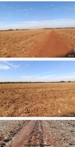 Fazenda no município de Guaira 