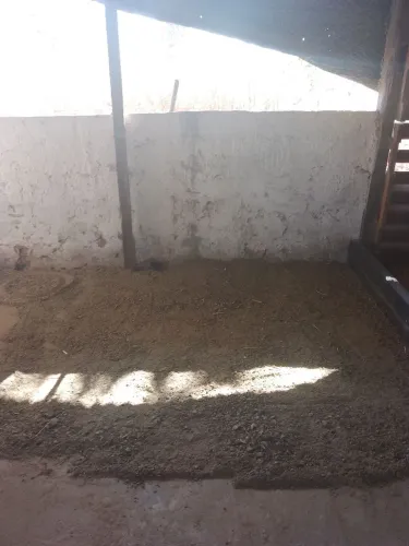 VENDO ESTERCO DE GALINHA PARA SUA PLANTAÇÃO 