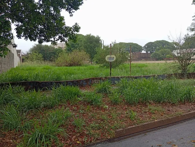 Terreno 480m2, Iguatemi-Pr, Rua Alberto Zussa, R$ 280.000,00
