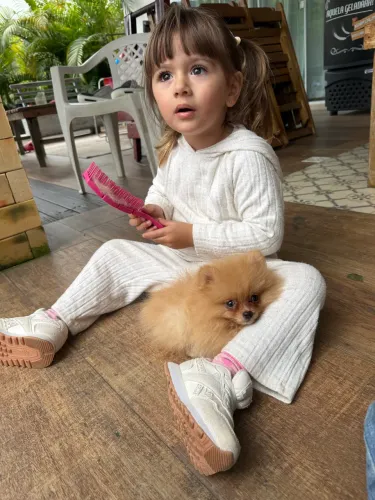 Lulu da pomerania 600 gramas
