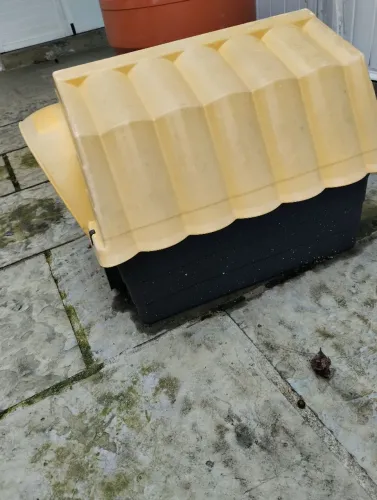 Casinha de cachorro