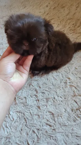 Melhor companhia