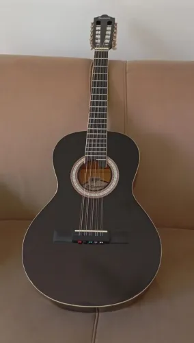 Vendo viola caipira