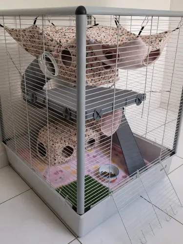 Gaiola Ferplast Dupla