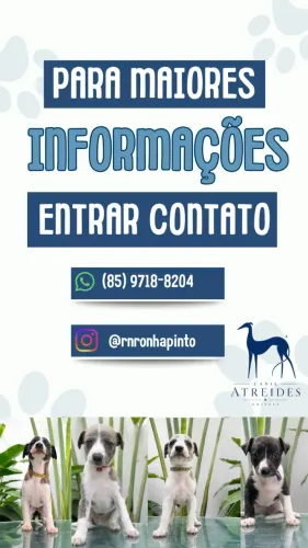 Caes