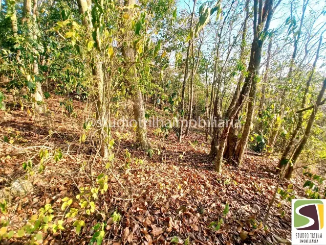Terreno a Venda Cocaia Ilhabela - Escritura Definitiva