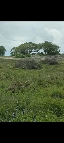 Terreno em Praia Paradisíaca!