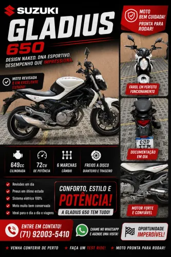 Suzuki Gladius 650cc