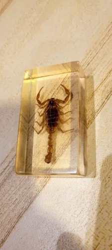 ENFEITE ESCORPIÃO AMARELO  