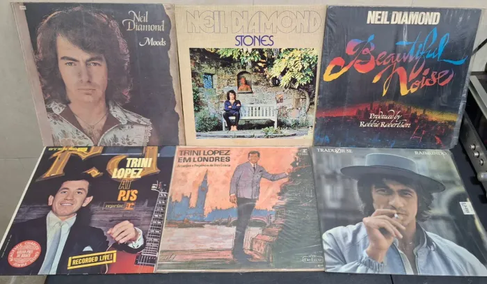 Lote com 6 discos em ótimo estado 