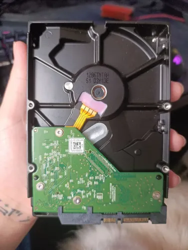 HD WD 1TB Green Power, 5400 RPM, 64MB, 3.5 , SATA - WD10EURX