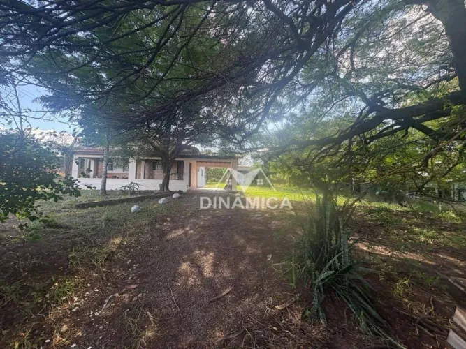 Terreno à venda, 1391 m² por R$ 1.050.000 - Chácara Santa Antonieta (Nova Veneza) - Sumaré