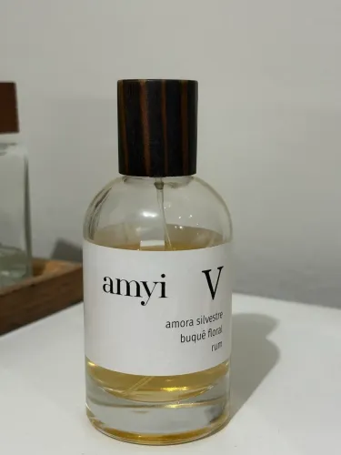 AMYI V 