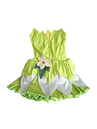 Fantasia infantil Tiana