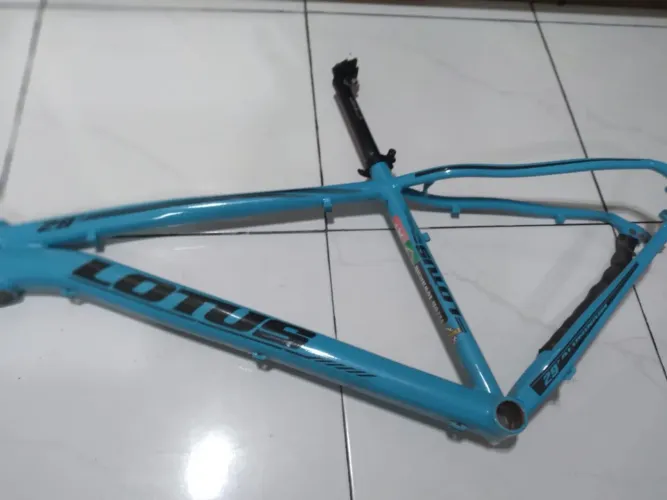 Quadro bicicleta lotus