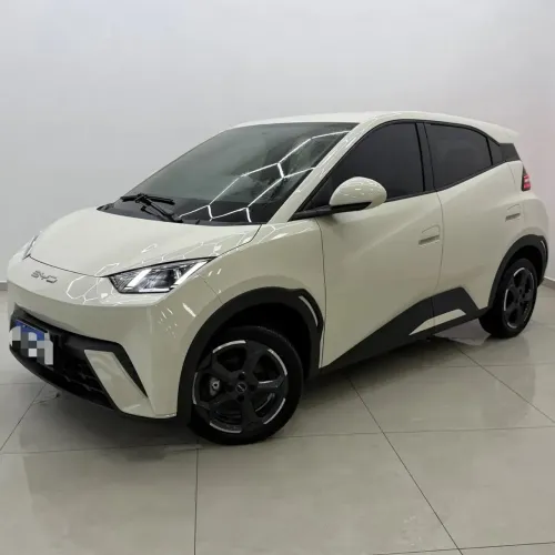 BYD Dolphin Mini (Elétrico) 2025