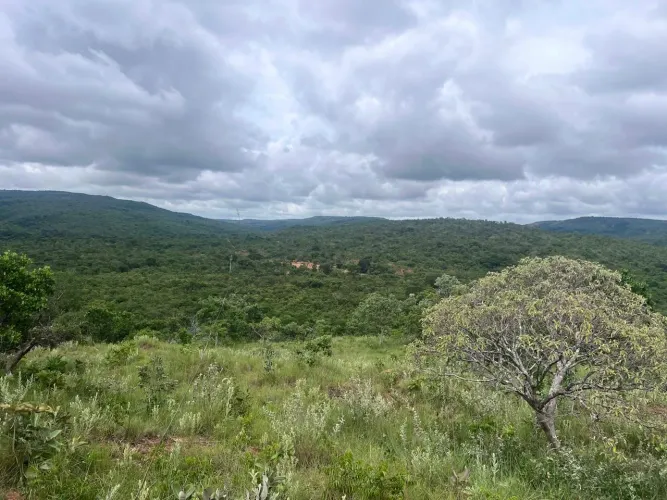 CHÁCARA À VENDA EM PASSA TRÊS - BURITIS/MG 