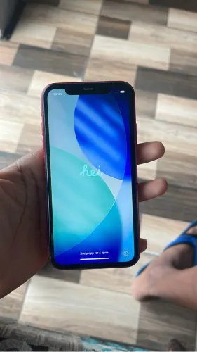 iPhone 11 todo original