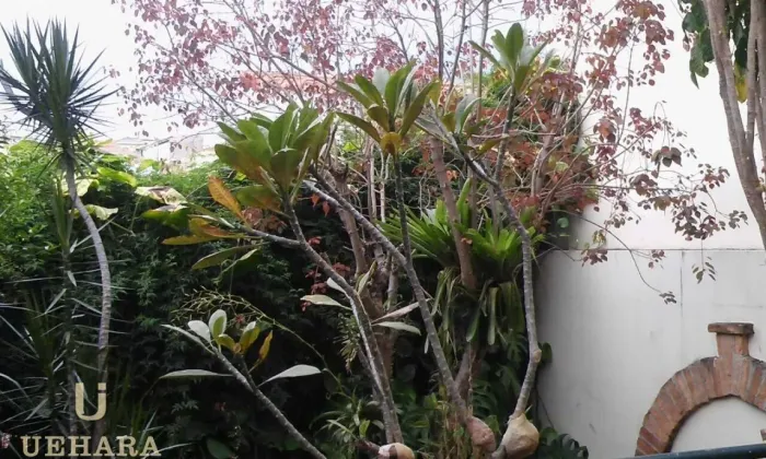 sobrado para venda Penha de França - Zona Leste
