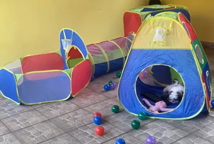 Barraca infantil com bolinhas 