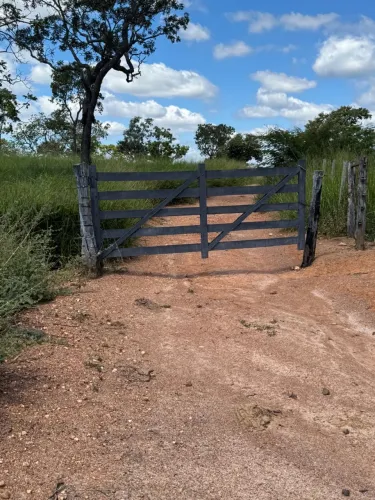 Sítio pronto com bastante água.