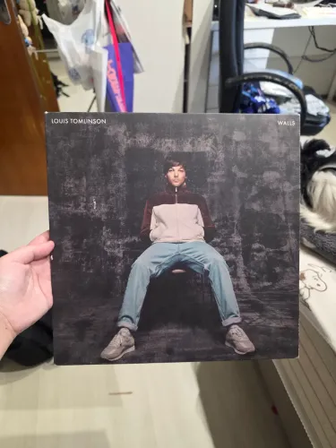 VINIL WALLS LOUIS TOMLINSON