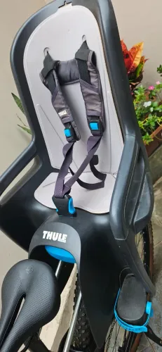 Cadeirinha Traseira de Bike Thule RideAlong 2 (é o mais completo com inclinação)