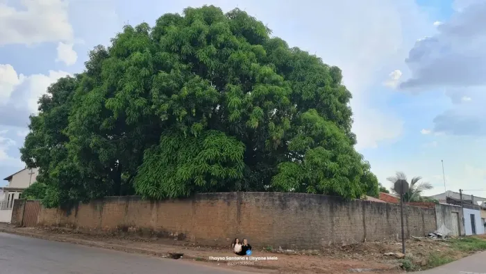 Terreno na rua Daniela e de esquina no Cuniã - Porto Velho - RO