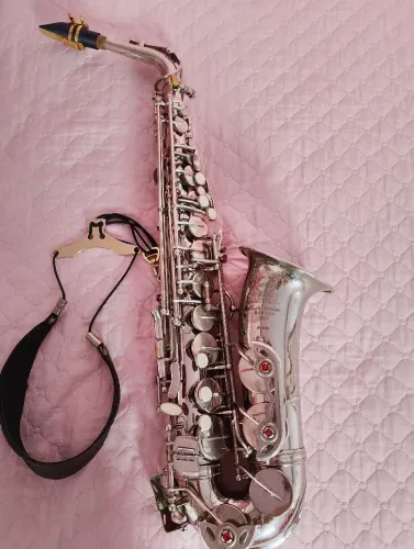 Saxofone Winston Boston alto