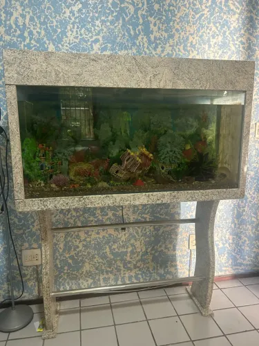 Aquário 